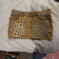 Mini Skirt