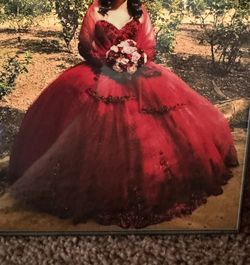 Quinceañera Dress Only 