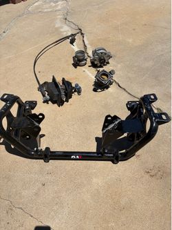 Fox body parts