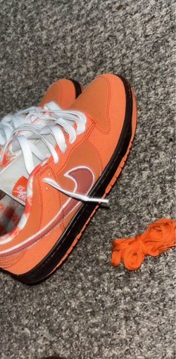 Nike sb’s