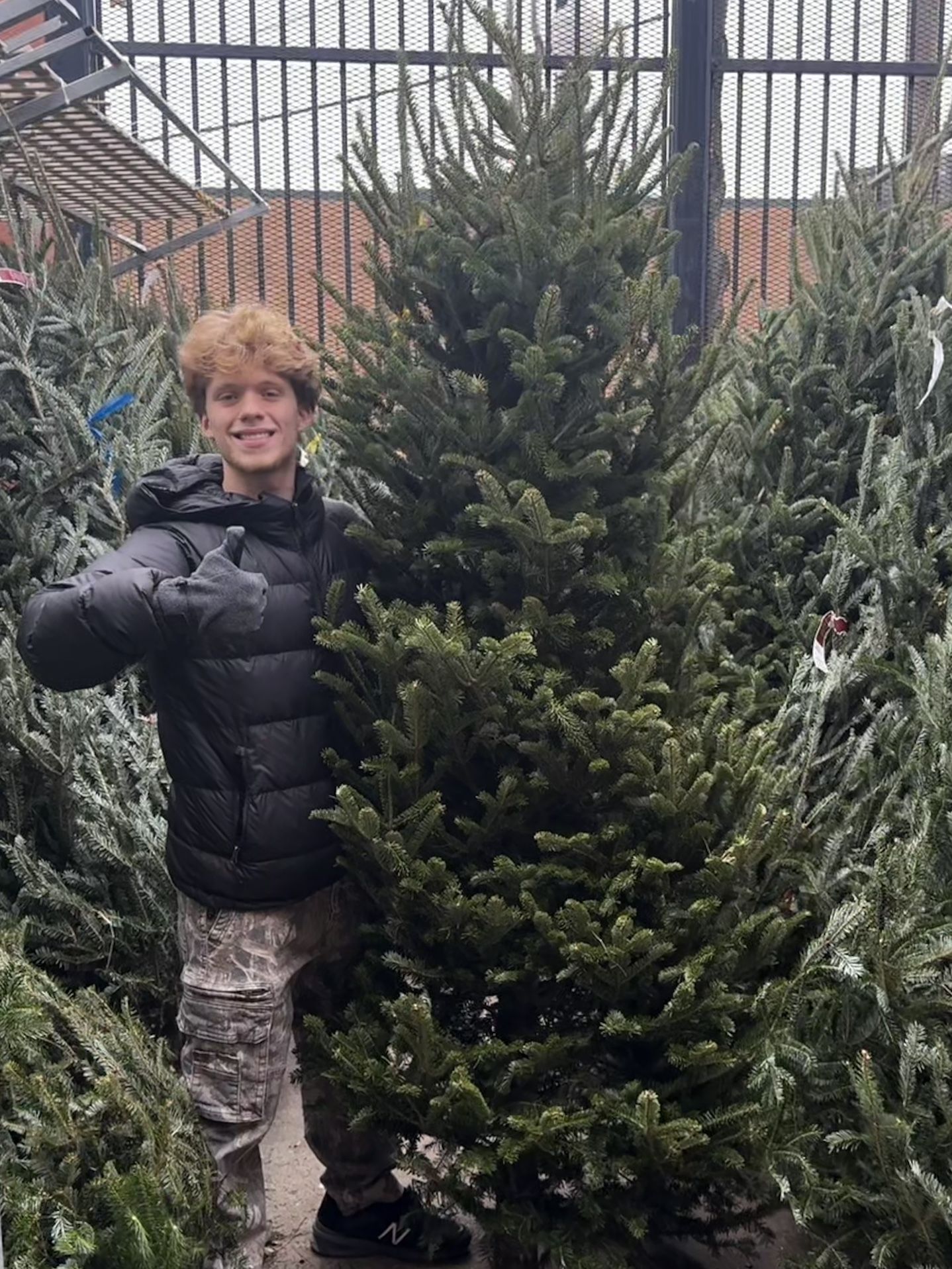 Real Christmas Tree (Free Delivery & Set Up)