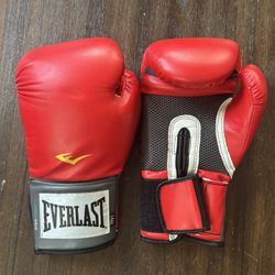 💥14oz Everlast Everfresh Boxing Gloves
