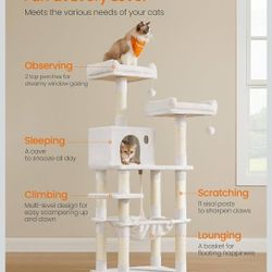 Brand New! In Box, Multi Level Cat Tree. 60$ OBO