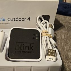 Blink Sync Module 