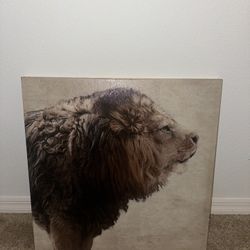 Lion Canvas