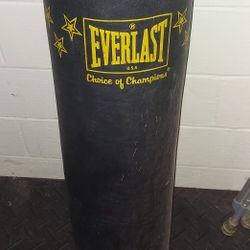 Punching Bag