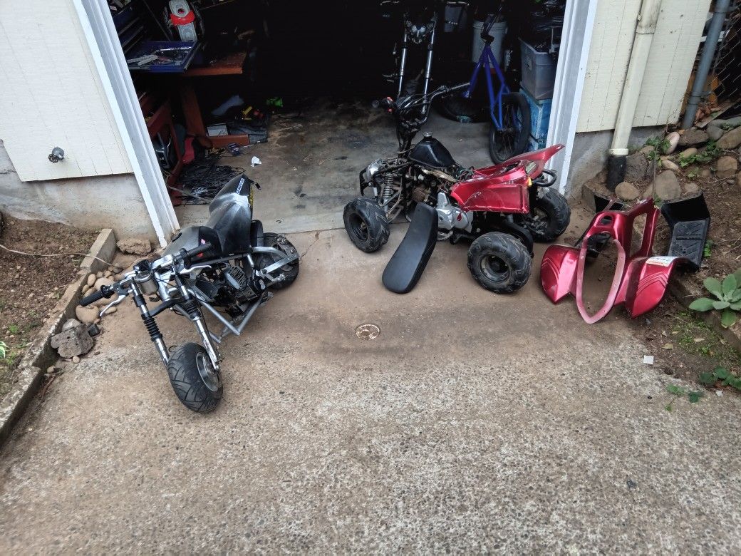 Zoom Cat Eye Pocket Bike And Taotao Atv