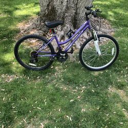 24” Mountain Bike 