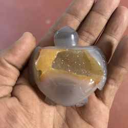 Druzy Turtle 
