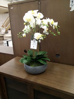 Large Faux Orchid White 