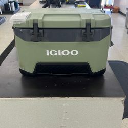 Igloo Cooler