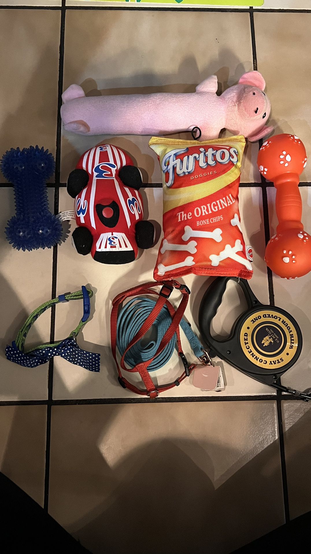 Dog Toys along with Leash & Collar 