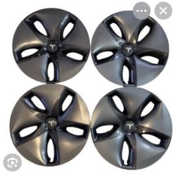 OEM hubcaps for 2021 Tesla Model 3 