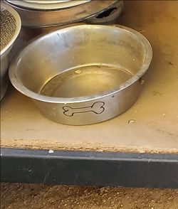 Dog bowl