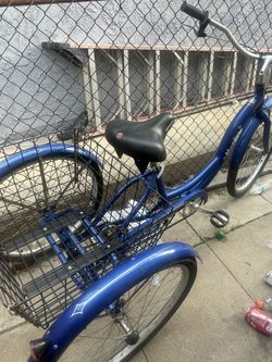 Schwinn Trick Cruiser 