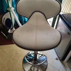 Swivel Salon Chair
