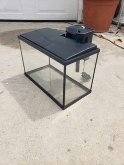 Fish Tank Aquarium