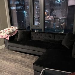 $300 Velvet Couch 