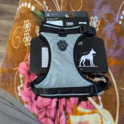 PET WEAR
