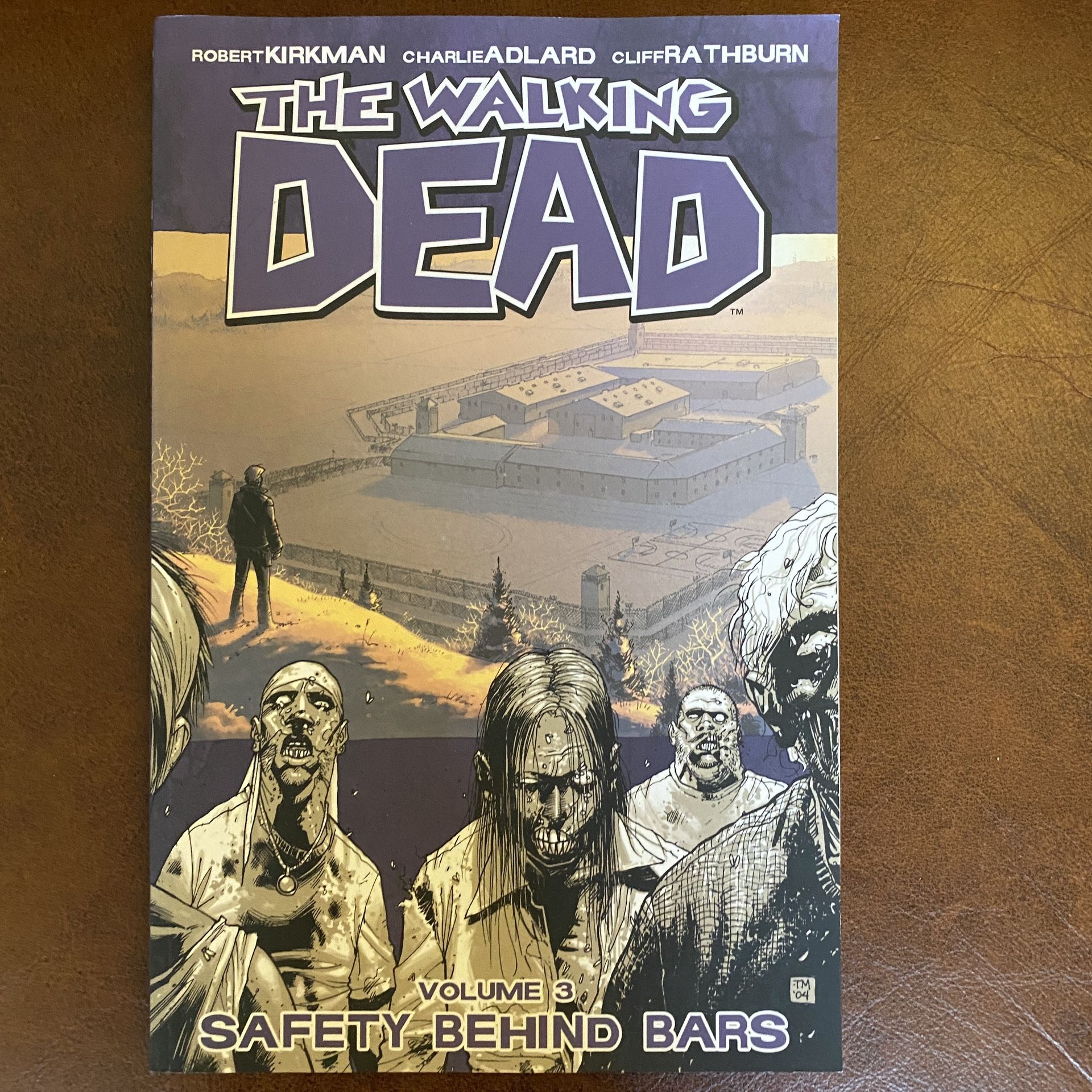 Walking Dead Vol 3 Graphic Novel