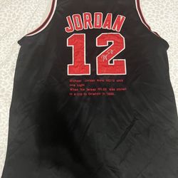 Jordan 12 Jersey