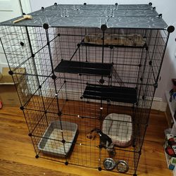 Cat Or Dog Kennel