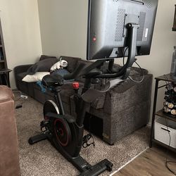 Echelon smart spin bike