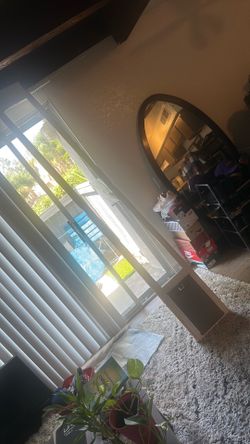 Pet safe pet door