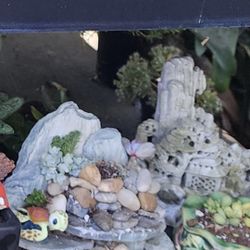 Plant Sale Sunday This Sunday IN San Lorenzo From $3 TO $30 