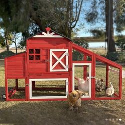 Chicken Coop 