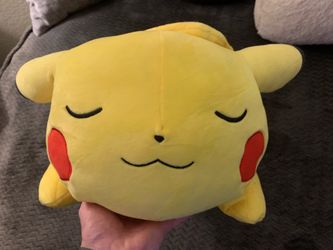 Pikachu Sleeping