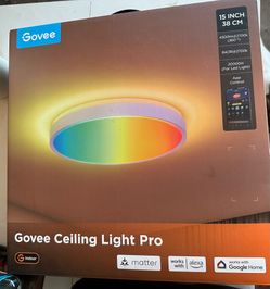 Govee light
