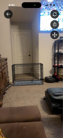 Large dog crate