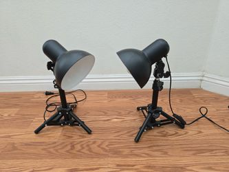 Pair of Photography Studio Tabletop Lights with Tripod Stands