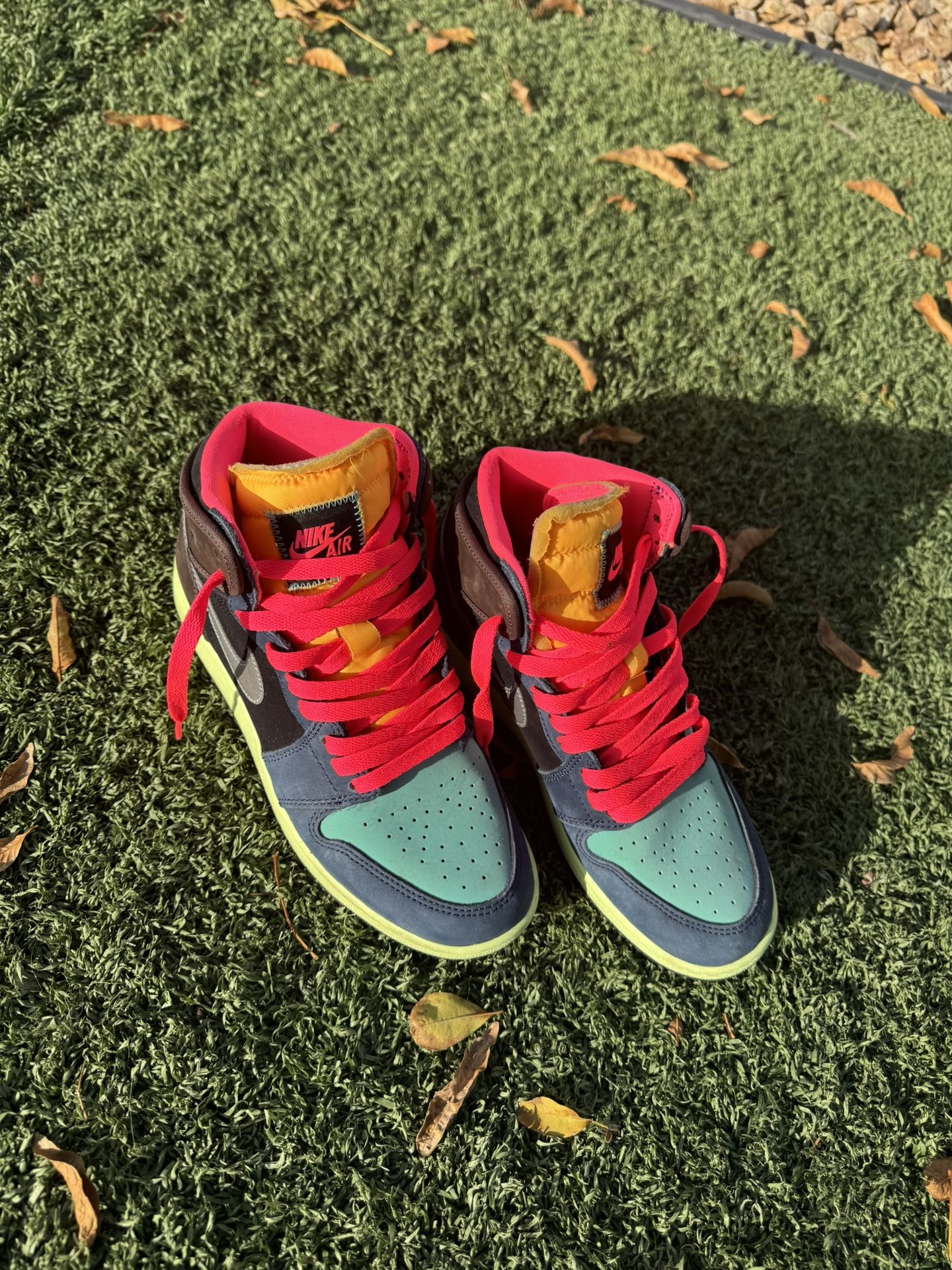 Jordan 1s Tokyo bio hack