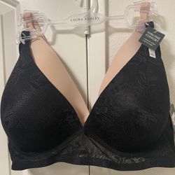 Under Garments (Bra)