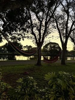 Hamacas. Hammocks