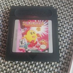 Ms.Pacman Game