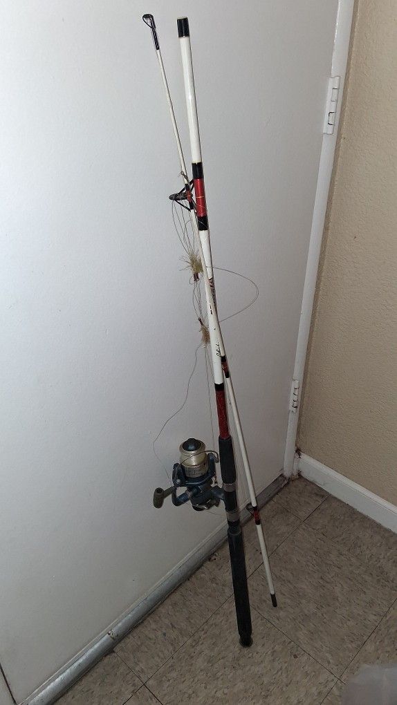 Fishing Rod with Reel