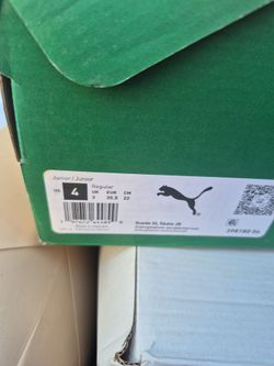 Tenis