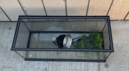 Glass terrarium