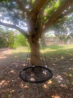 Tree Swing