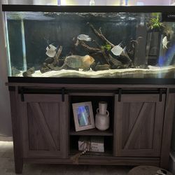 75 Gallon Aquarium
