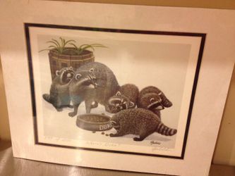 Print of raccoons