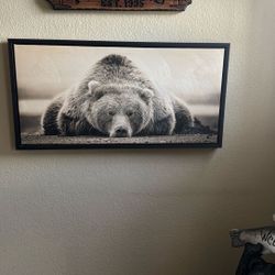 Bear Picture 