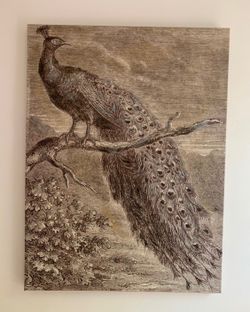 Beautiful peacock artwork! 4’x3’