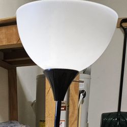 2 Floor Lamps