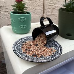 Bird Feeder