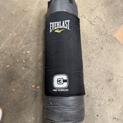 Everlast C3 70 lb Punching Bag