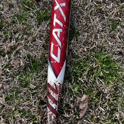 Cat X Bbcor Baseball Bat